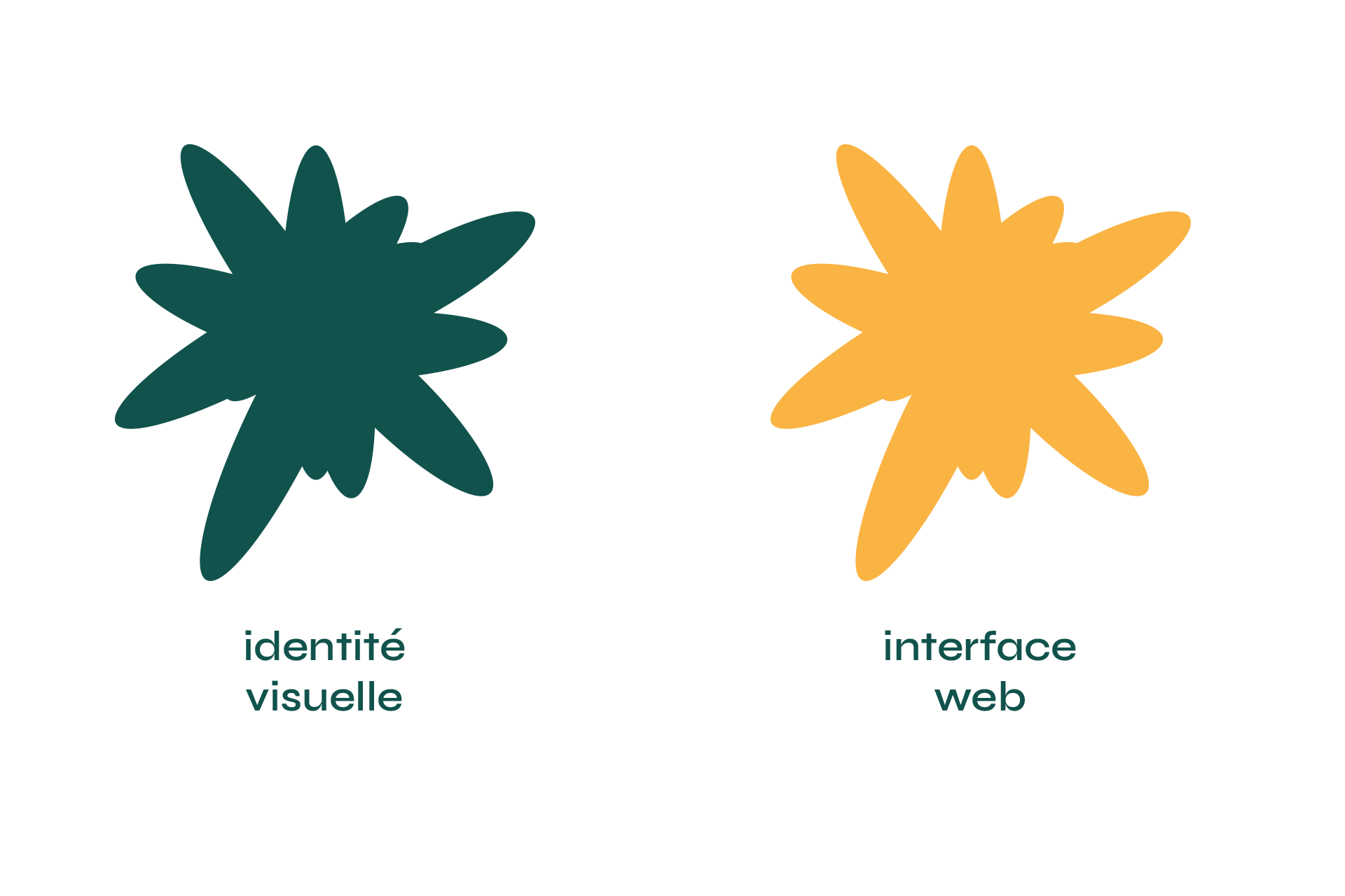 Services graphiques du Studio Abélia dans les Landes, identité visuelle et interface web