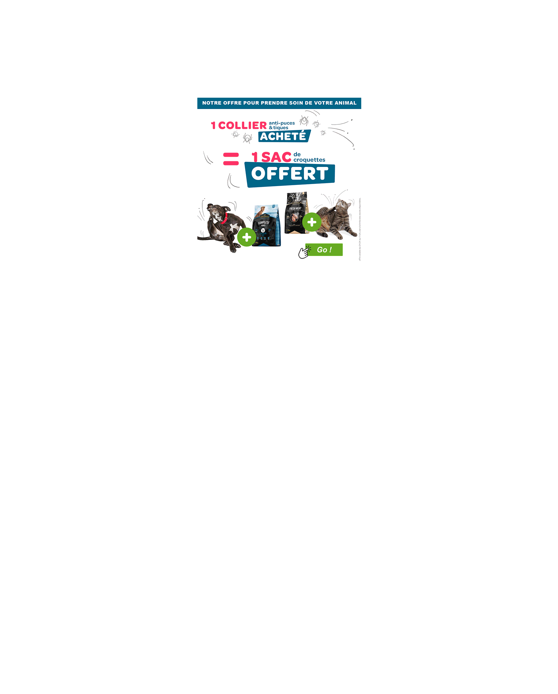 publicité pour le web pour Zoomalia, graphiste Landes